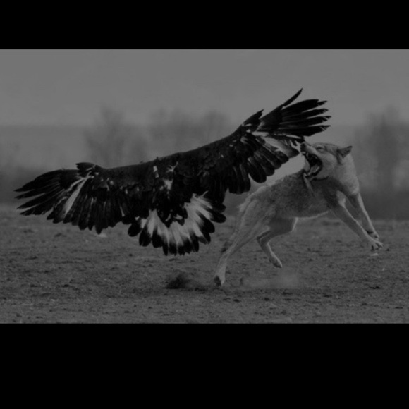 Best Friend True Love - Picture 6 of 13